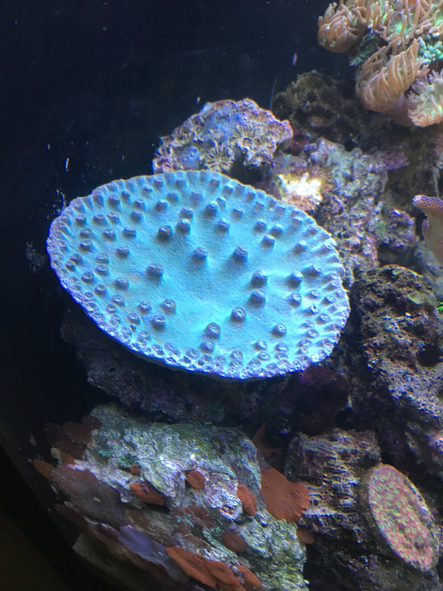 IMG_4107.JPG