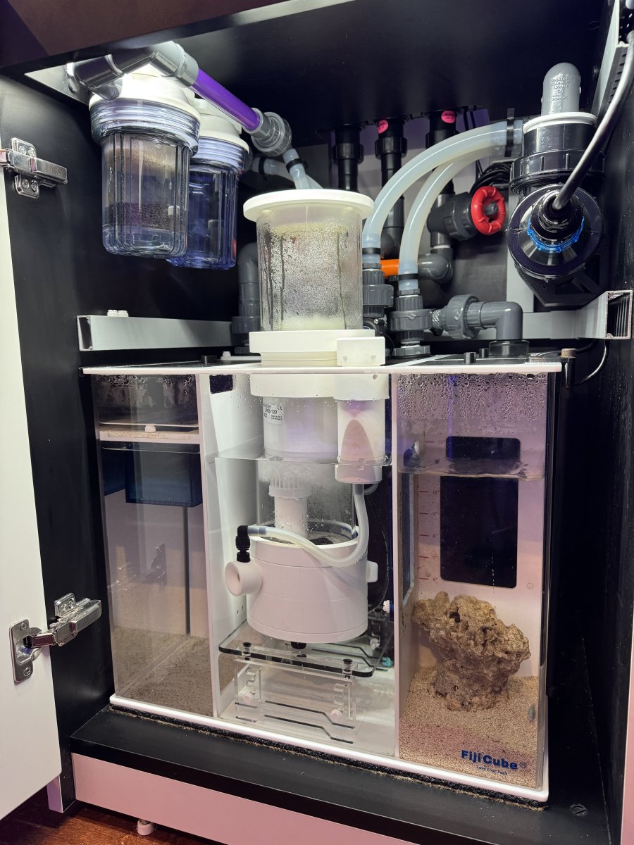 Build Thread - 2's Custom Red Sea Reefer MAX 200 G2+ System | Page 4 ...
