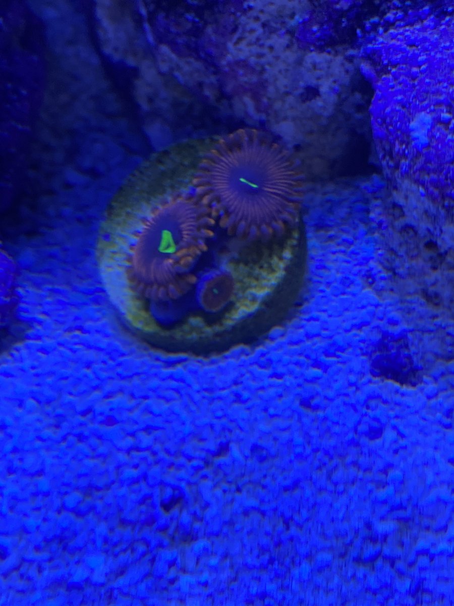 IMG_4148.jpeg