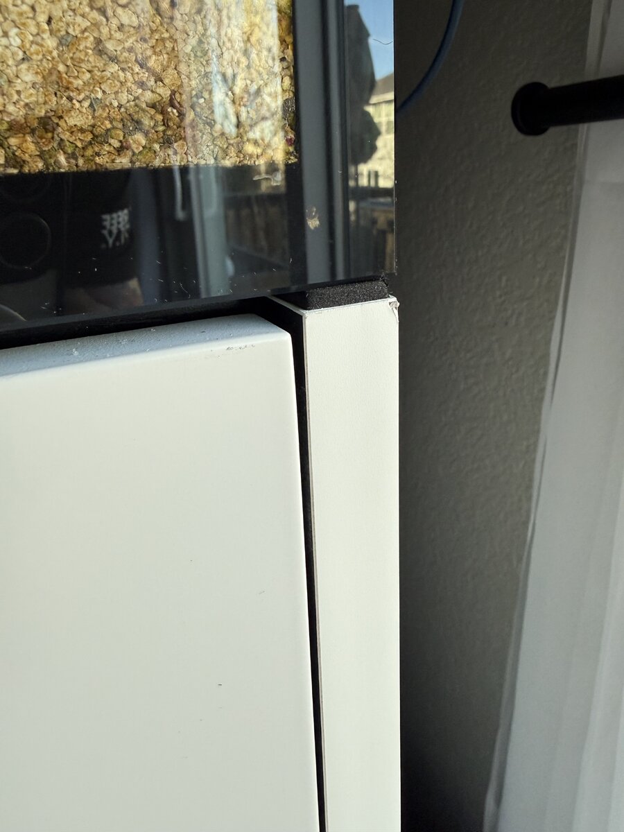IMG_4149.jpeg