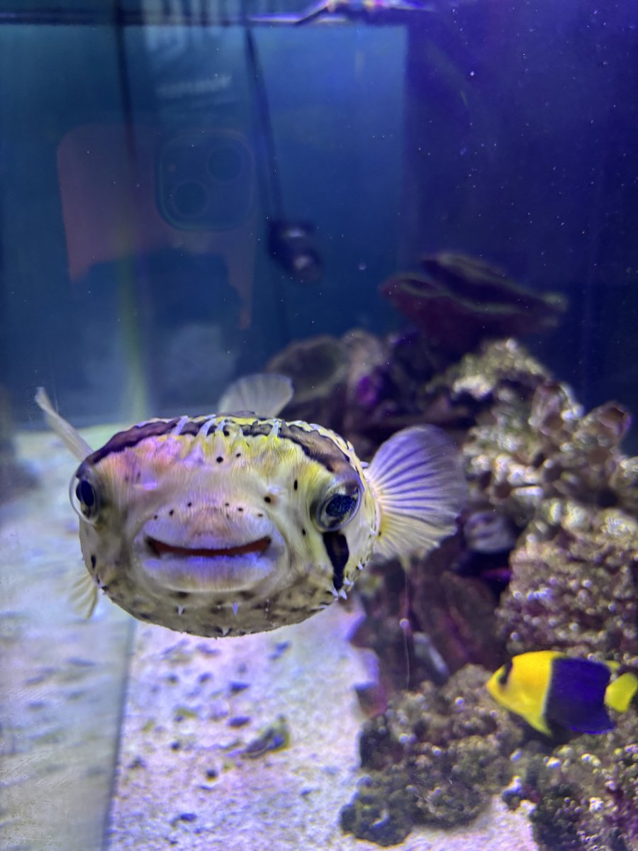 IMG_4150.jpeg