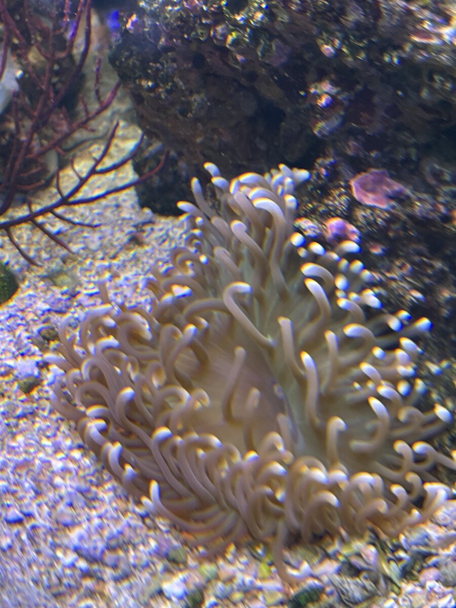 IMG_4151.jpeg