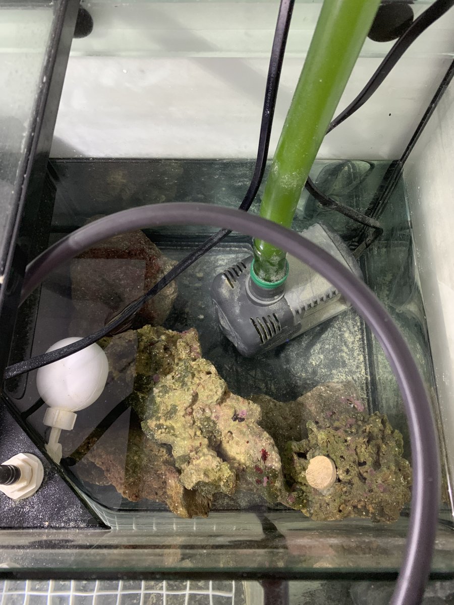 IMG_4159.jpg