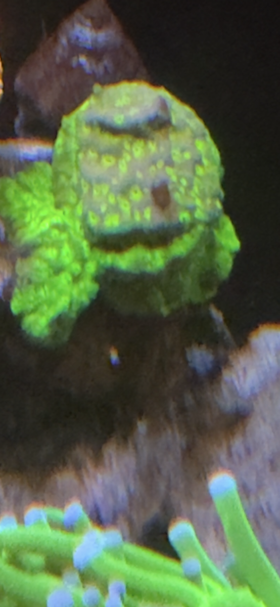 IMG_4159.png