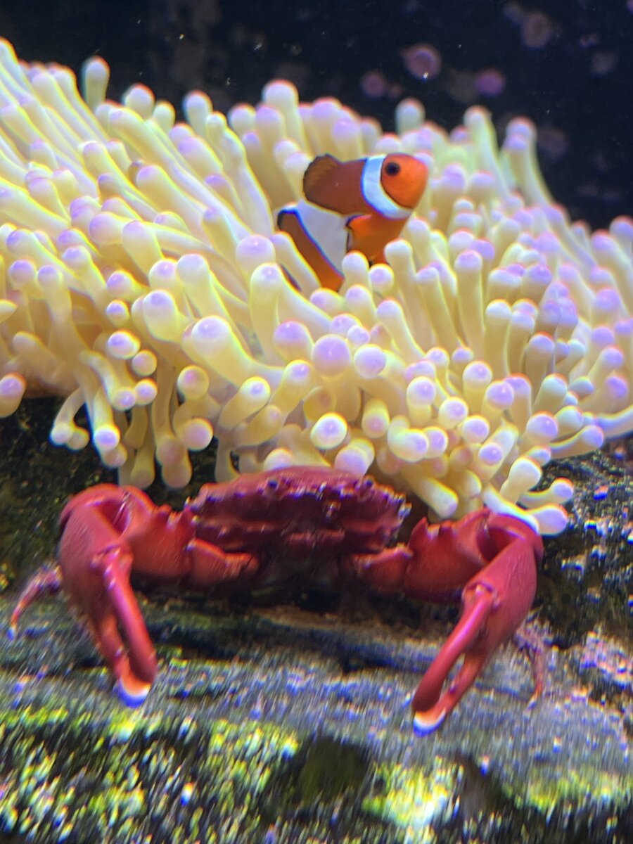 IMG_4163.jpeg