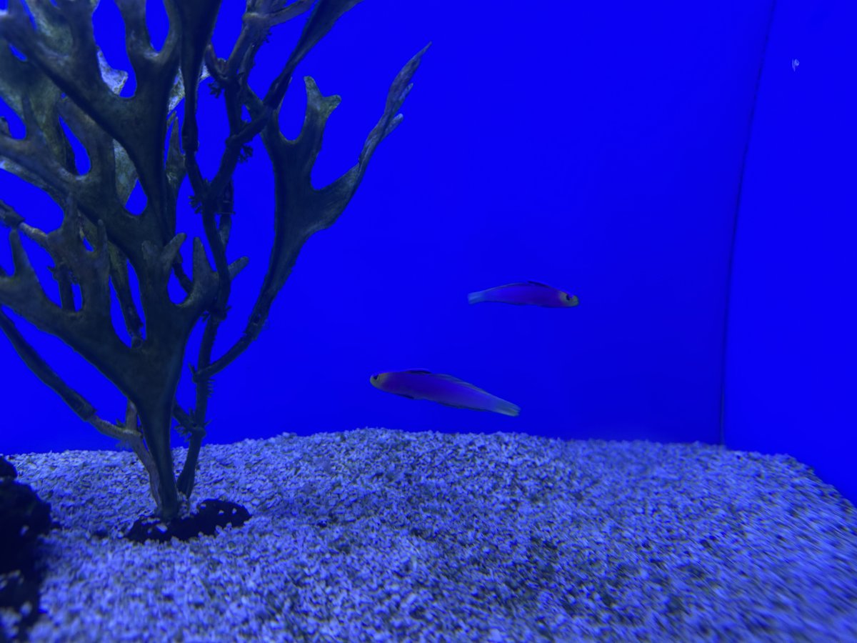 IMG_4173.jpeg