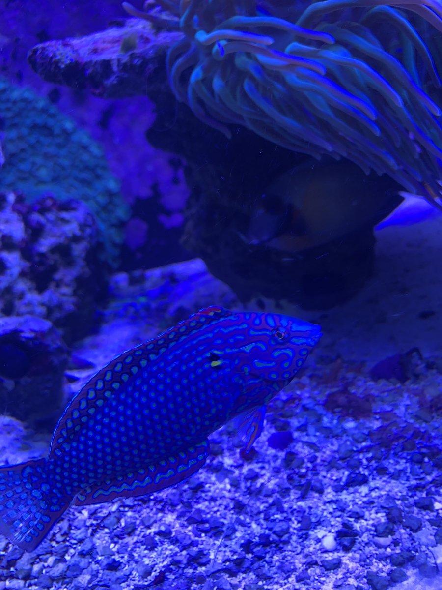 IMG_4183.jpeg
