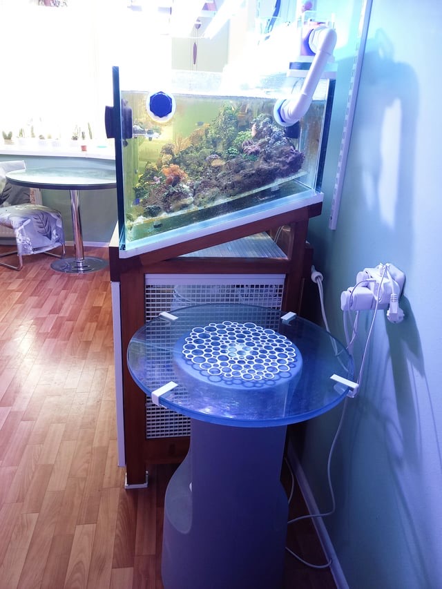 Have we exhausted all possible aquarium designs? | Reef2Reef
