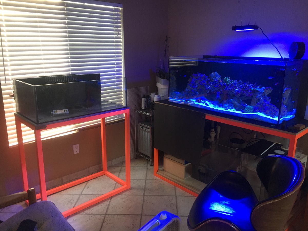 NEW DIY REEF AFTER BEING OUT FOR 13 YEARS | Page 2 | Reef2Reef