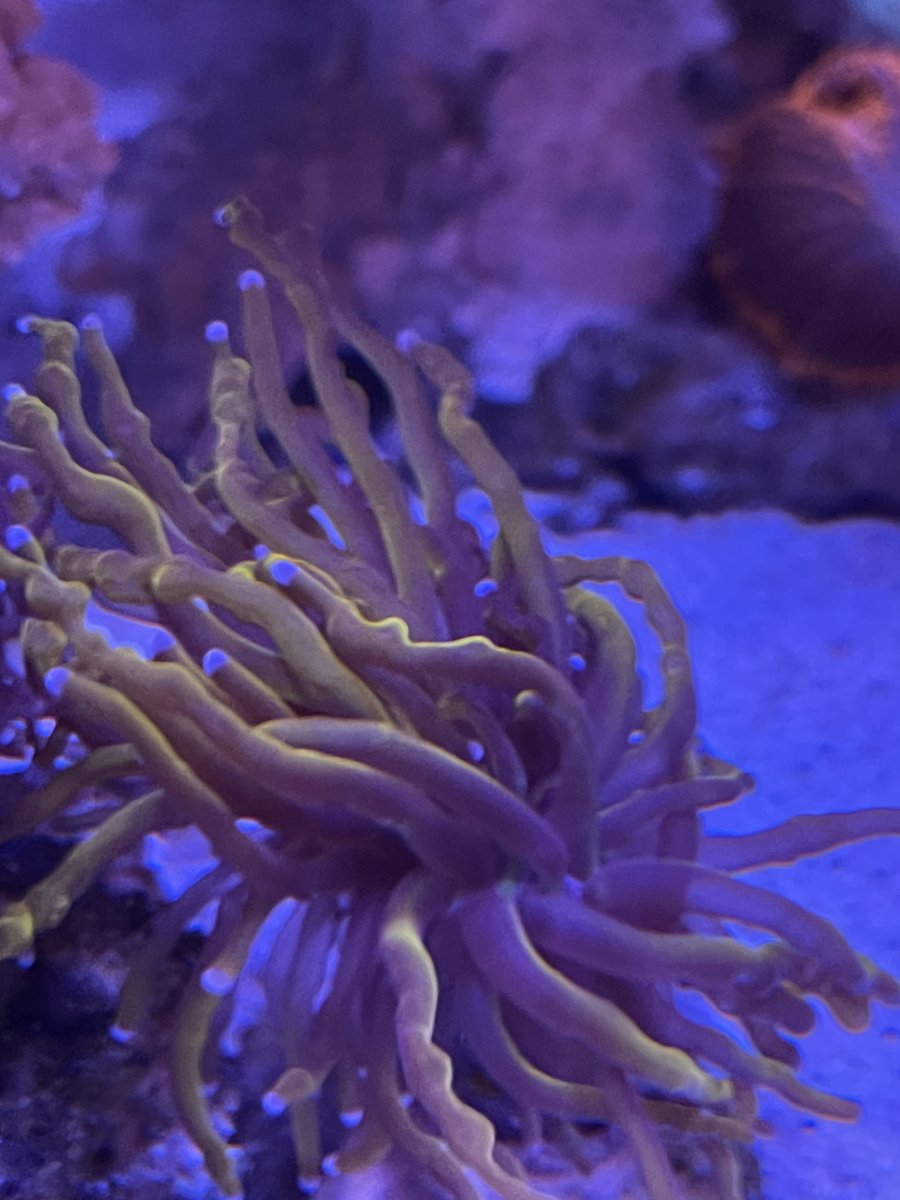 IMG_4202.jpeg