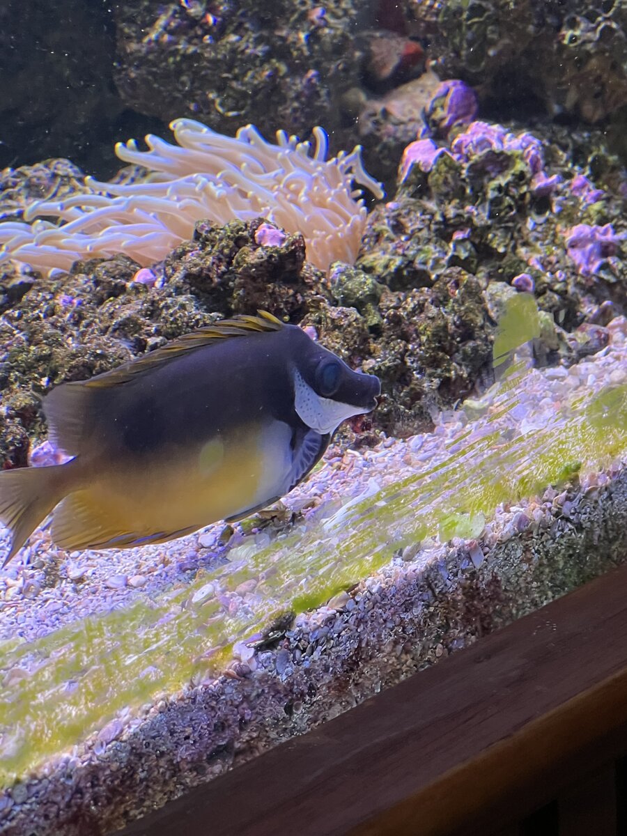 IMG_4208.jpeg