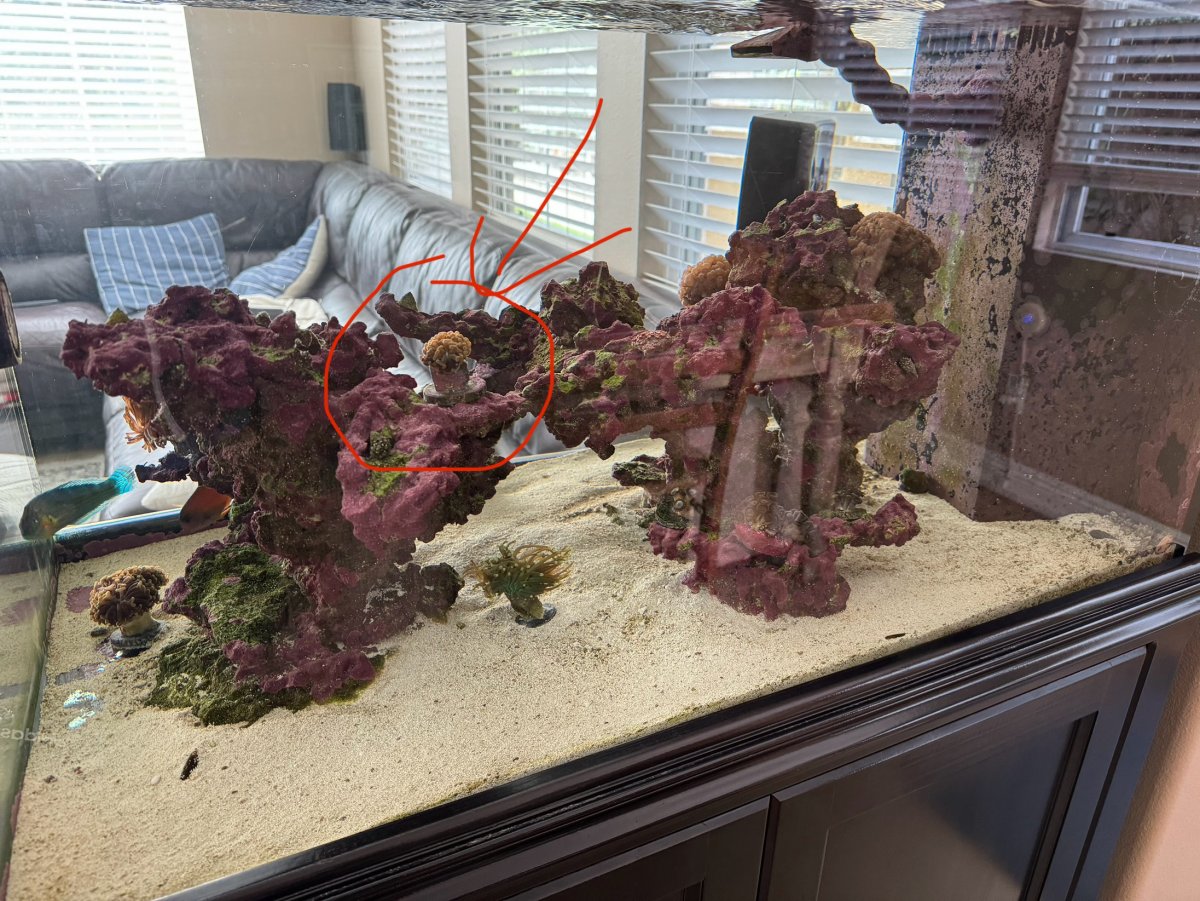 IMG_4211.jpeg