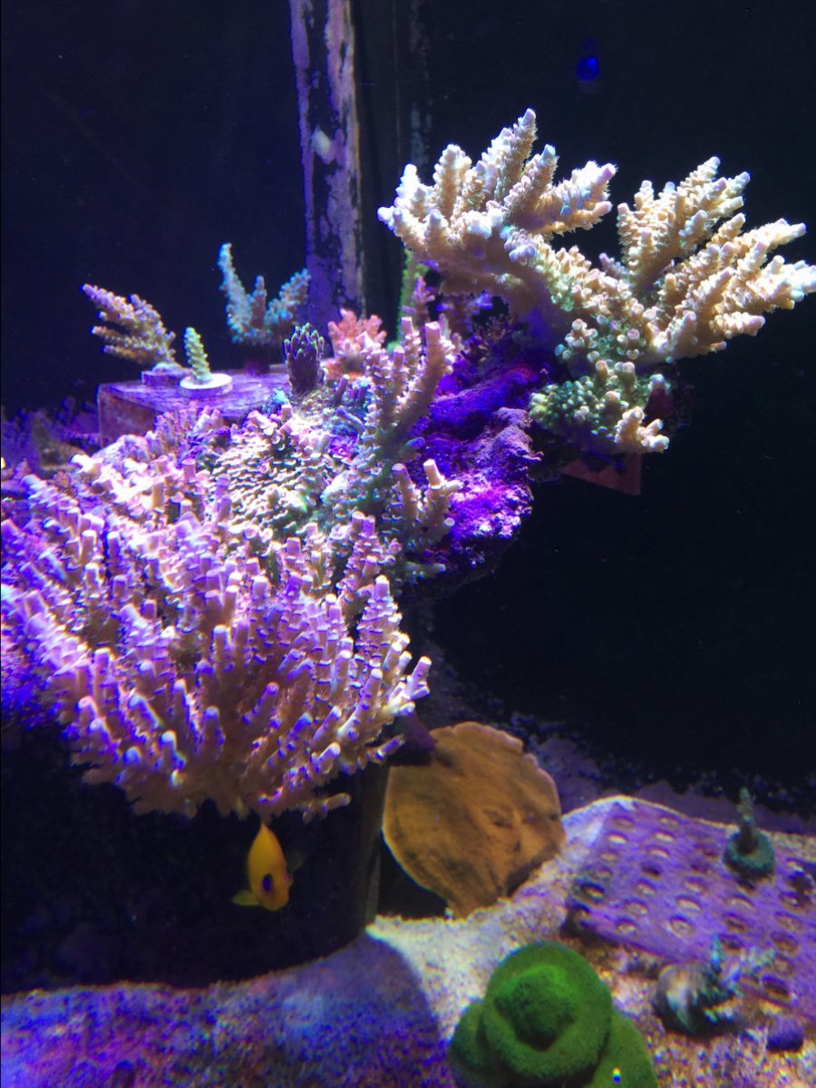 IMG_4225.JPG