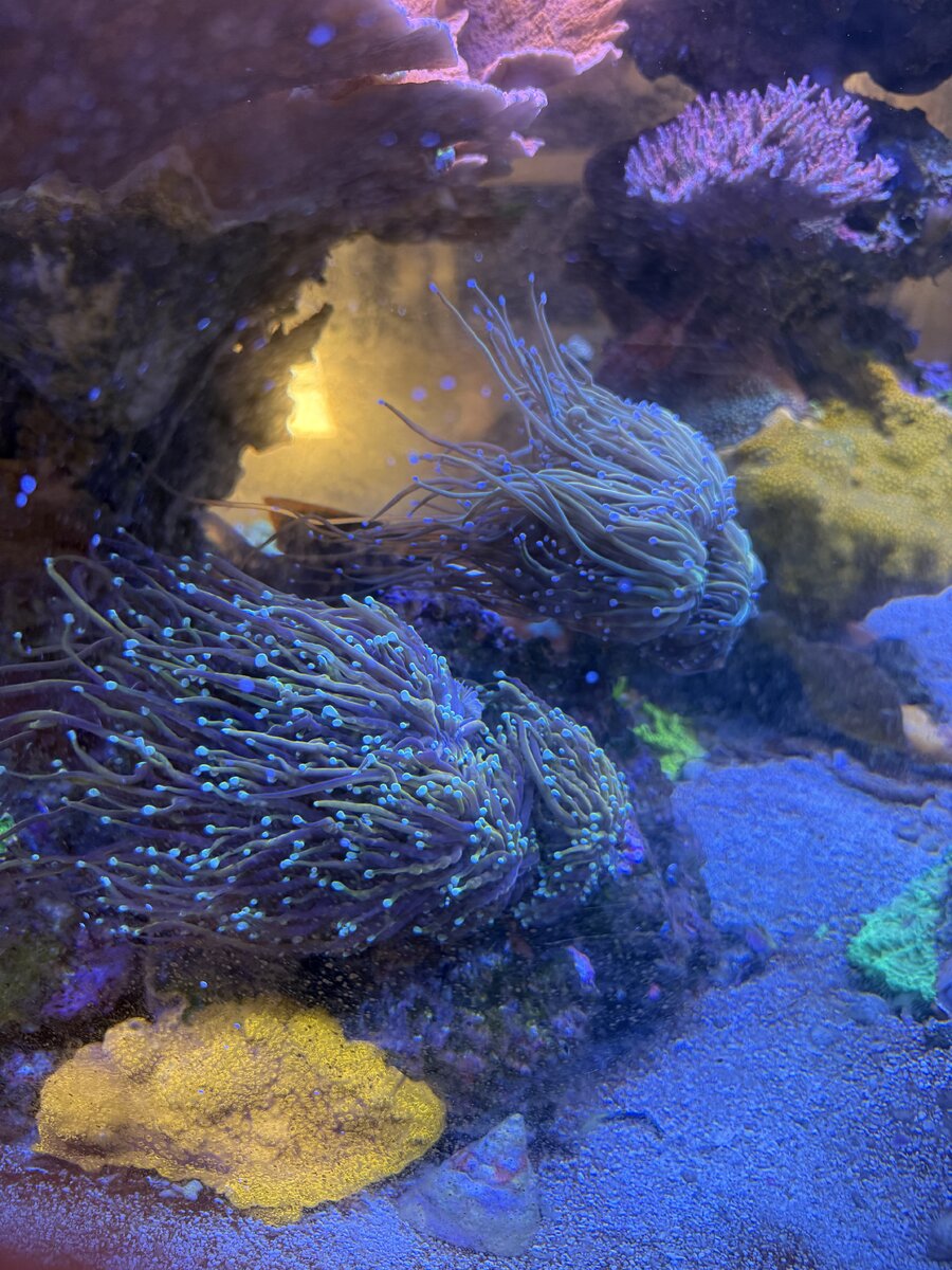 IMG_4227.jpeg