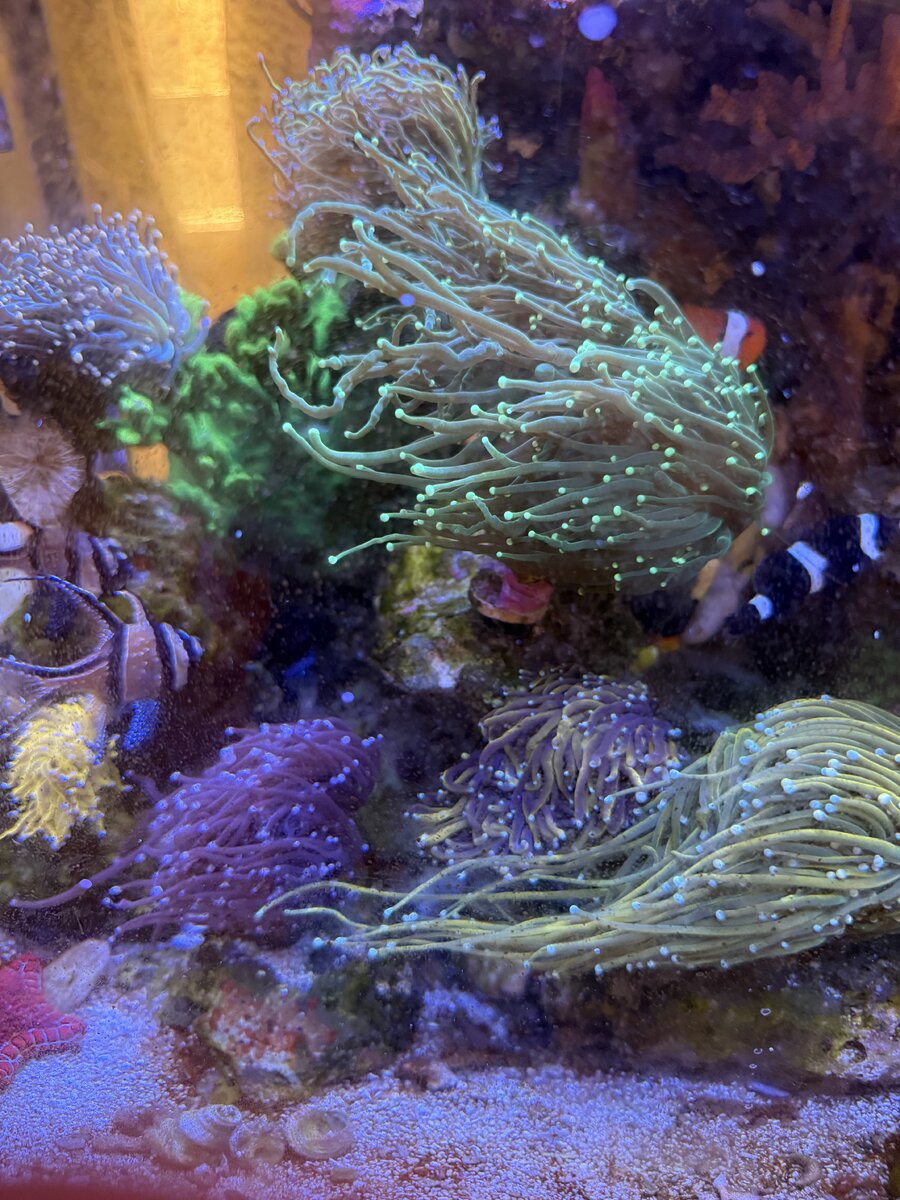 IMG_4229.jpeg