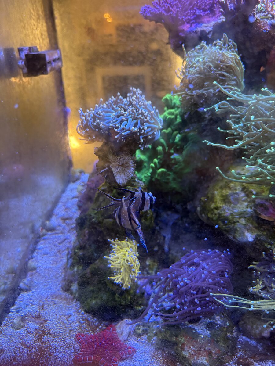 IMG_4230.jpeg