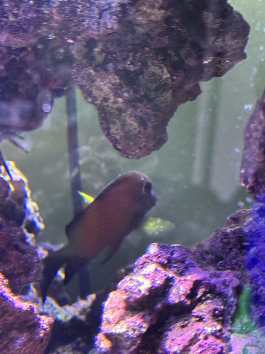 IMG_4237.jpeg