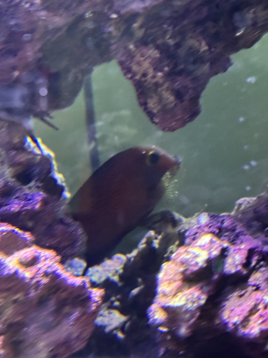 IMG_4241.jpeg