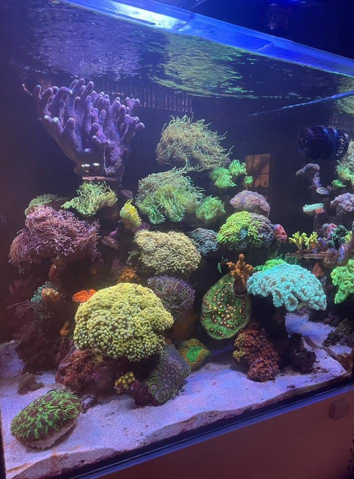 IMG_4257.jpeg
