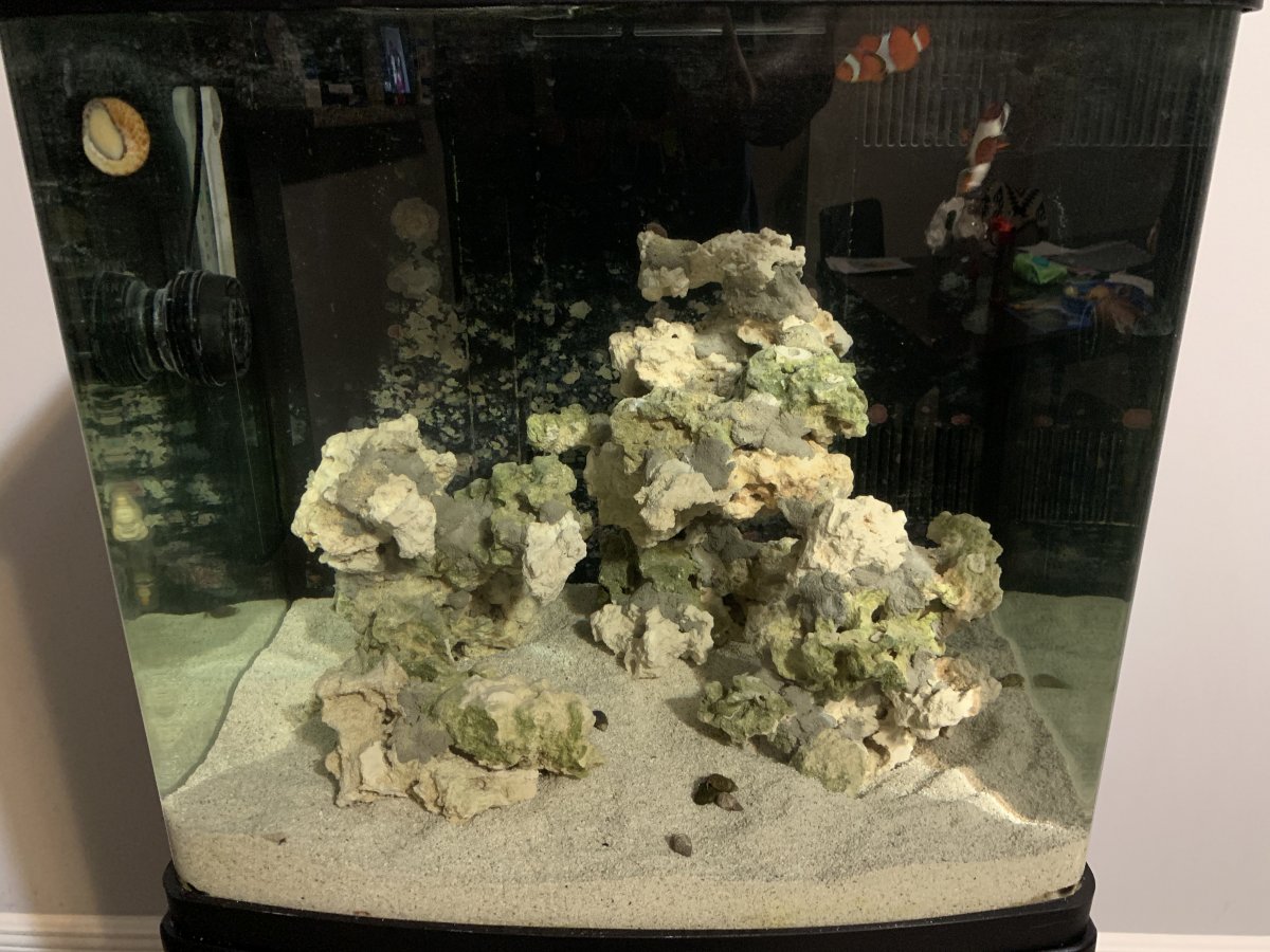 IMG_4263.jpeg