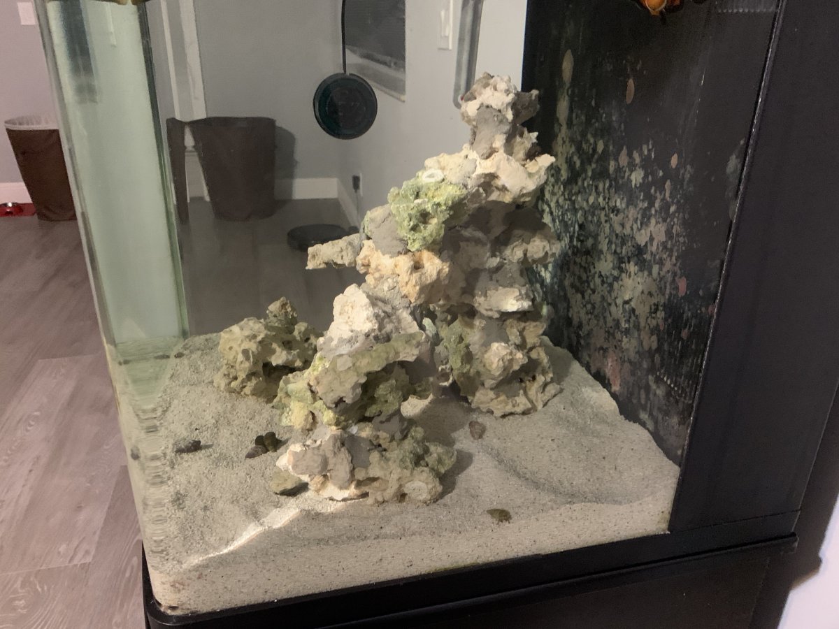 IMG_4265.jpeg