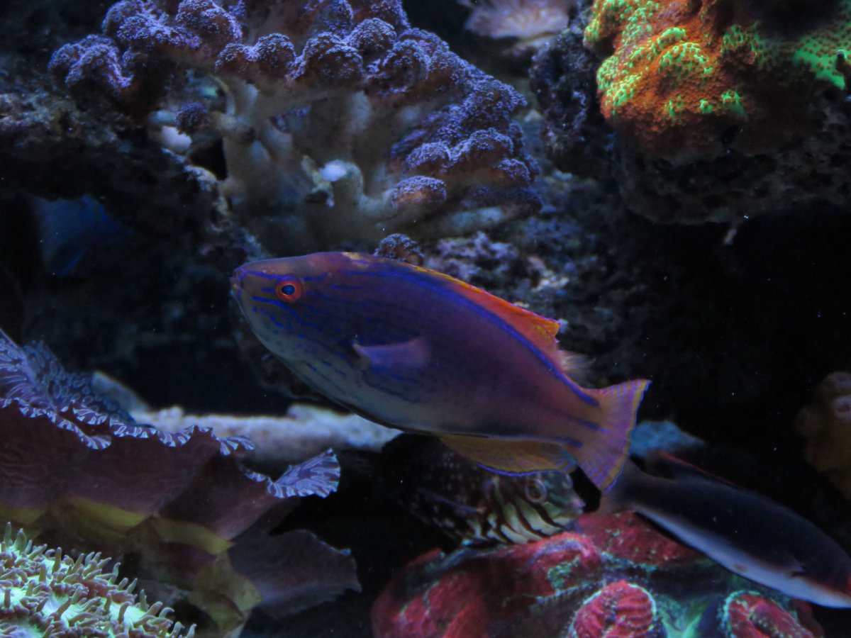 IMG_4265.jpg