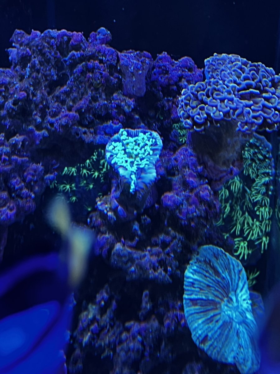 IMG_4272.jpeg