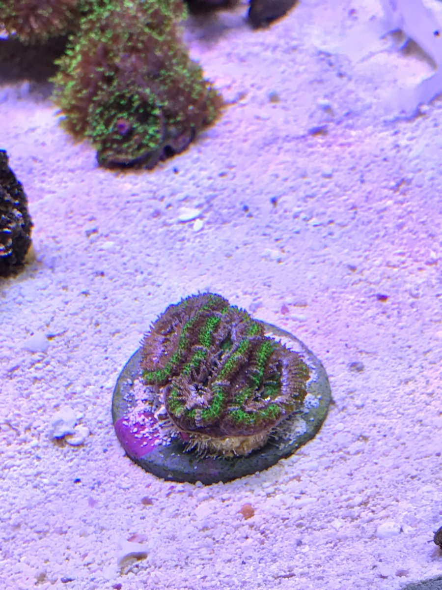 IMG_4278.JPG