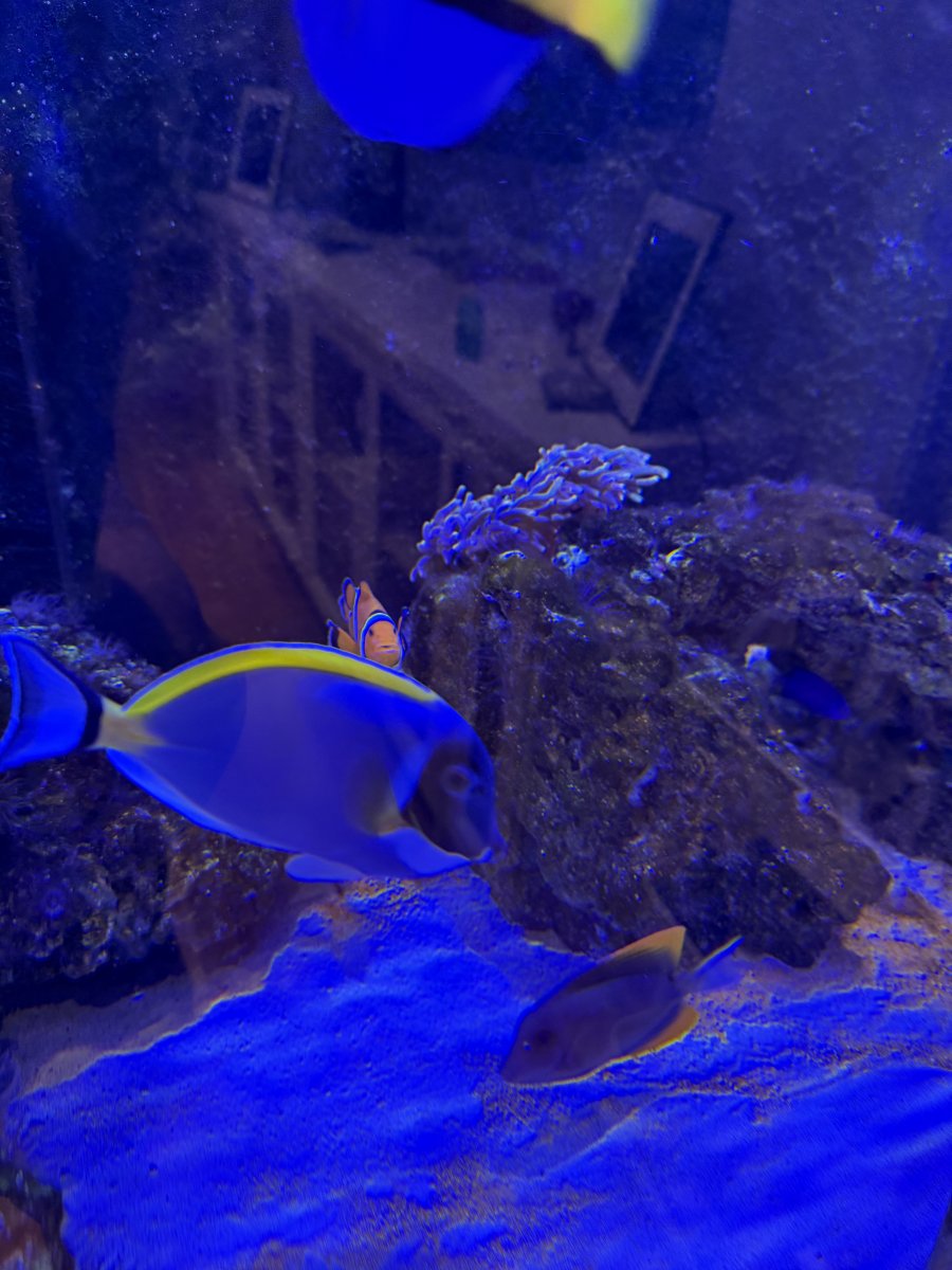 IMG_4289.jpeg