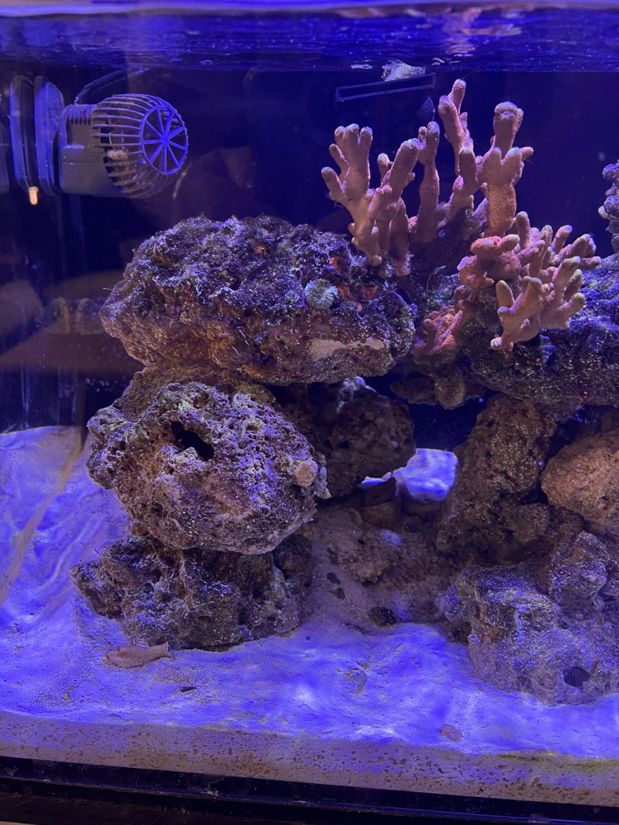 IMG_4292.jpeg