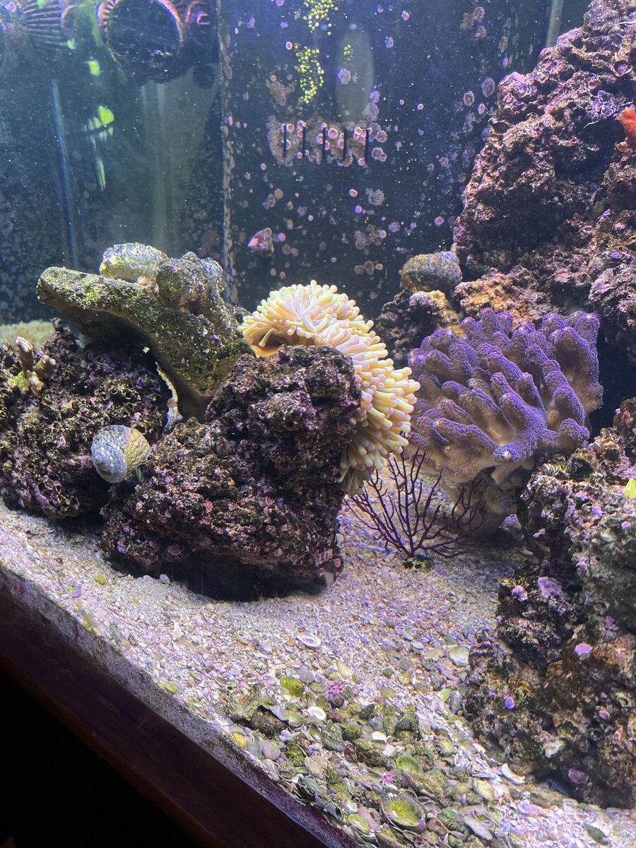 IMG_4292.jpeg