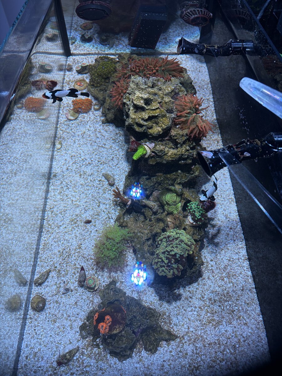 IMG_4311.jpeg