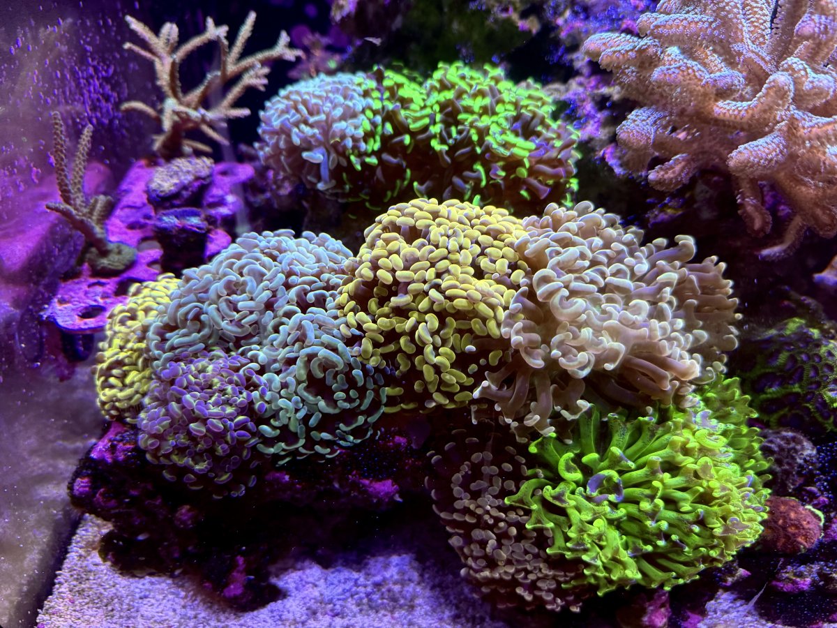 IMG_4329.jpeg