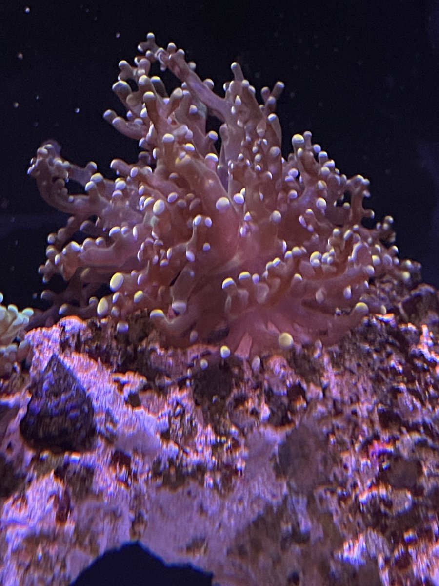 IMG_4335.jpeg