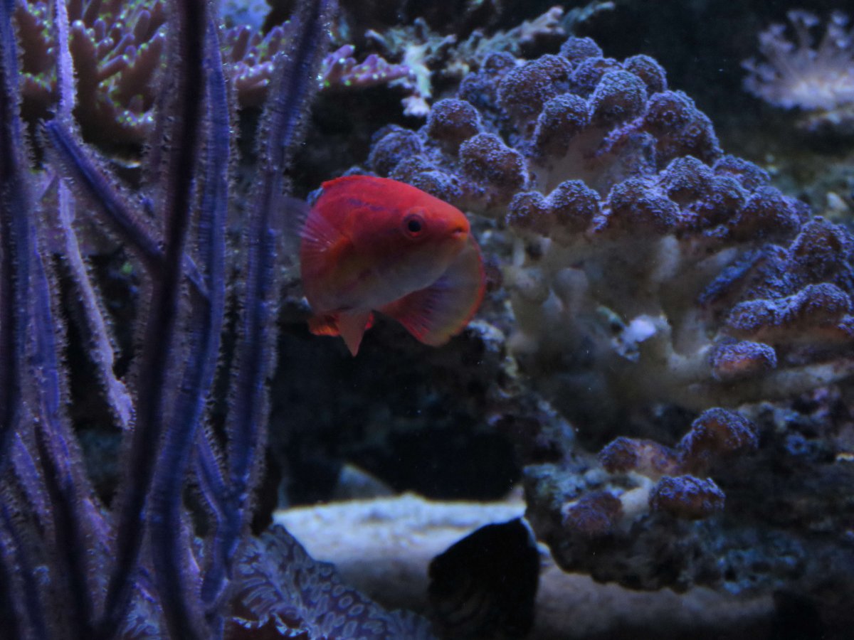 IMG_4348.jpg
