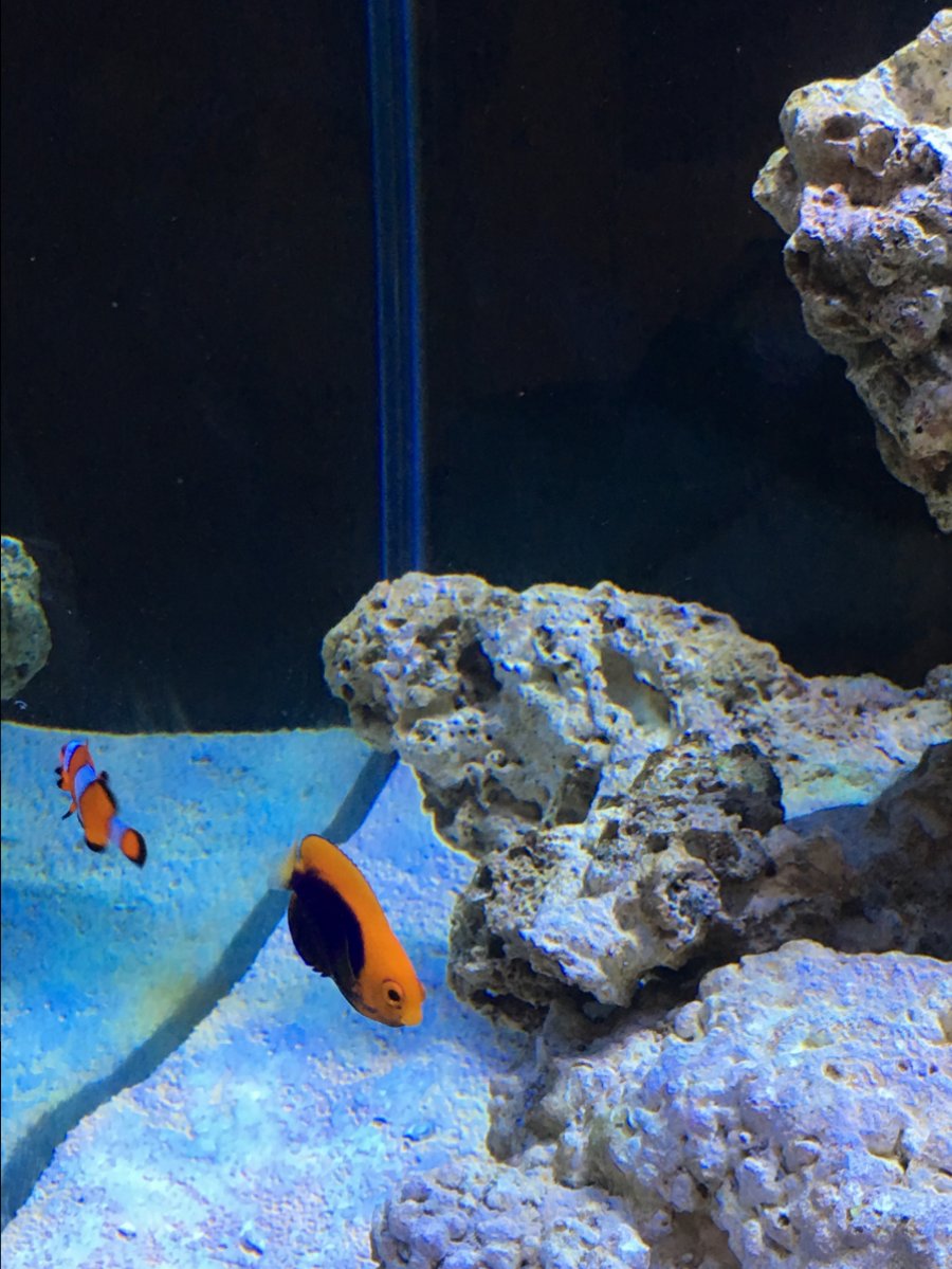 IMG_4352.JPG