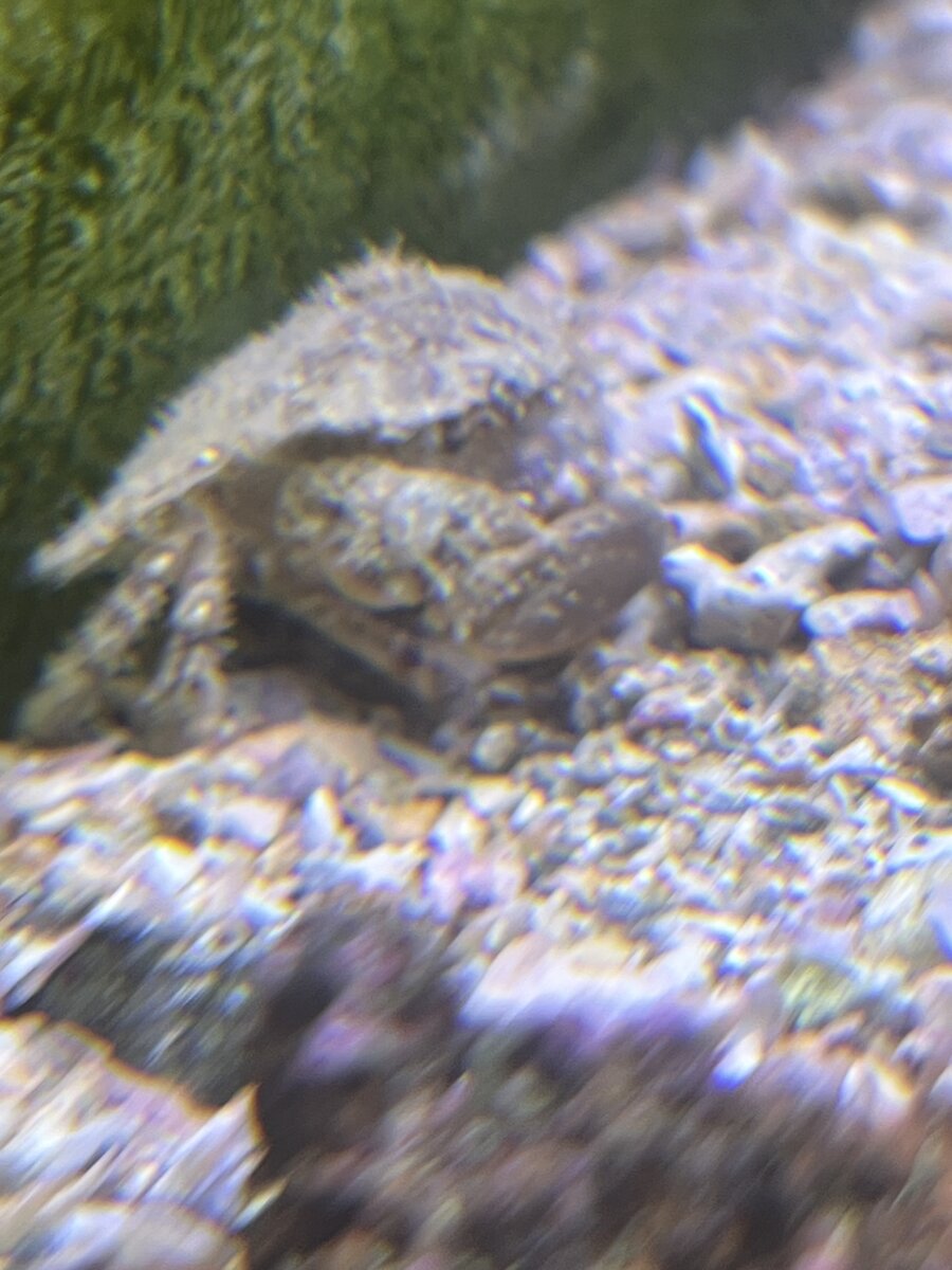 IMG_4356.jpeg