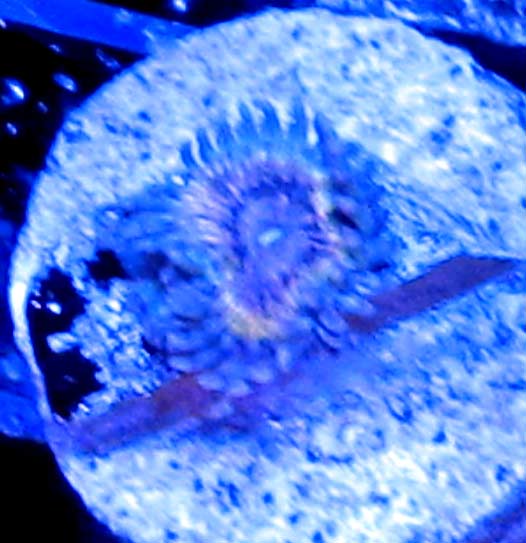 IMG_4356.JPG