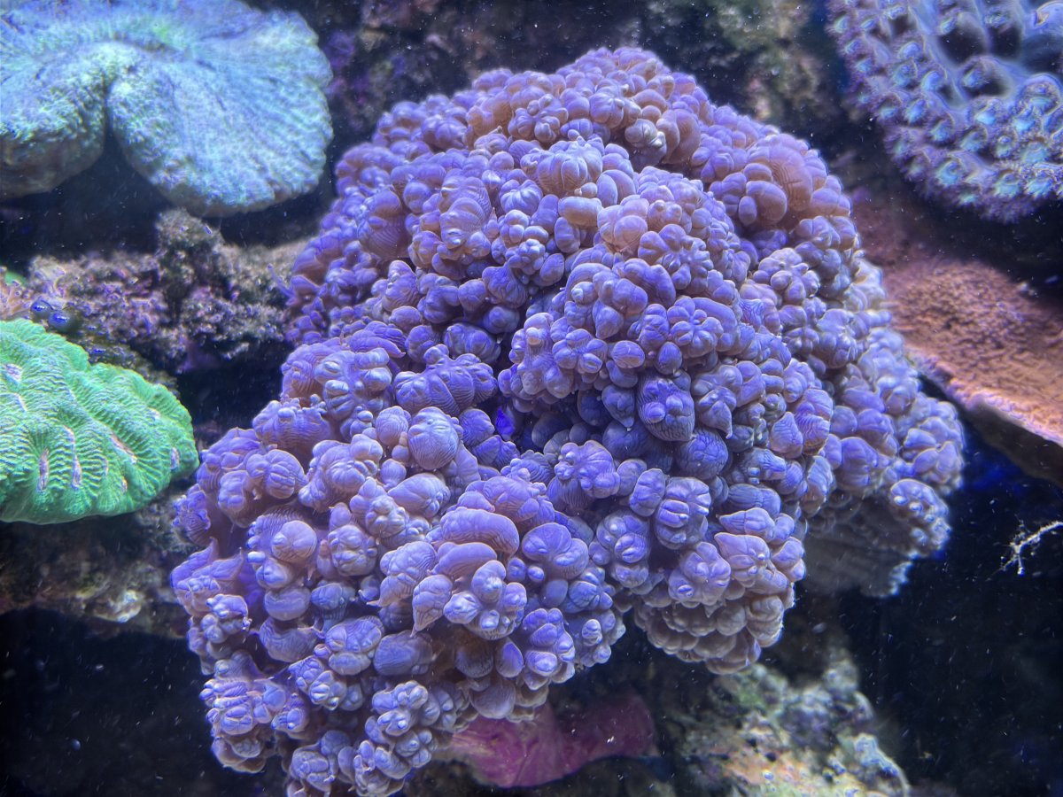 IMG_4363.jpeg