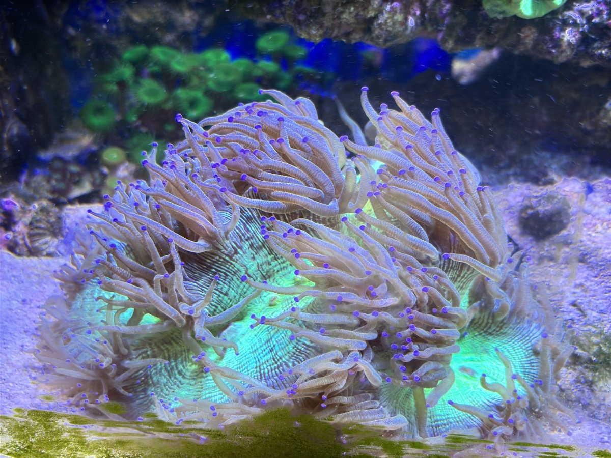 IMG_4364.jpeg