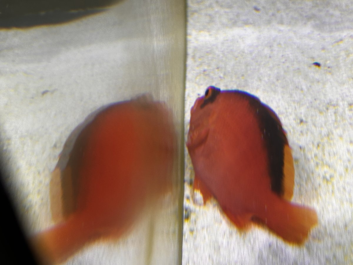 IMG_4364.jpeg
