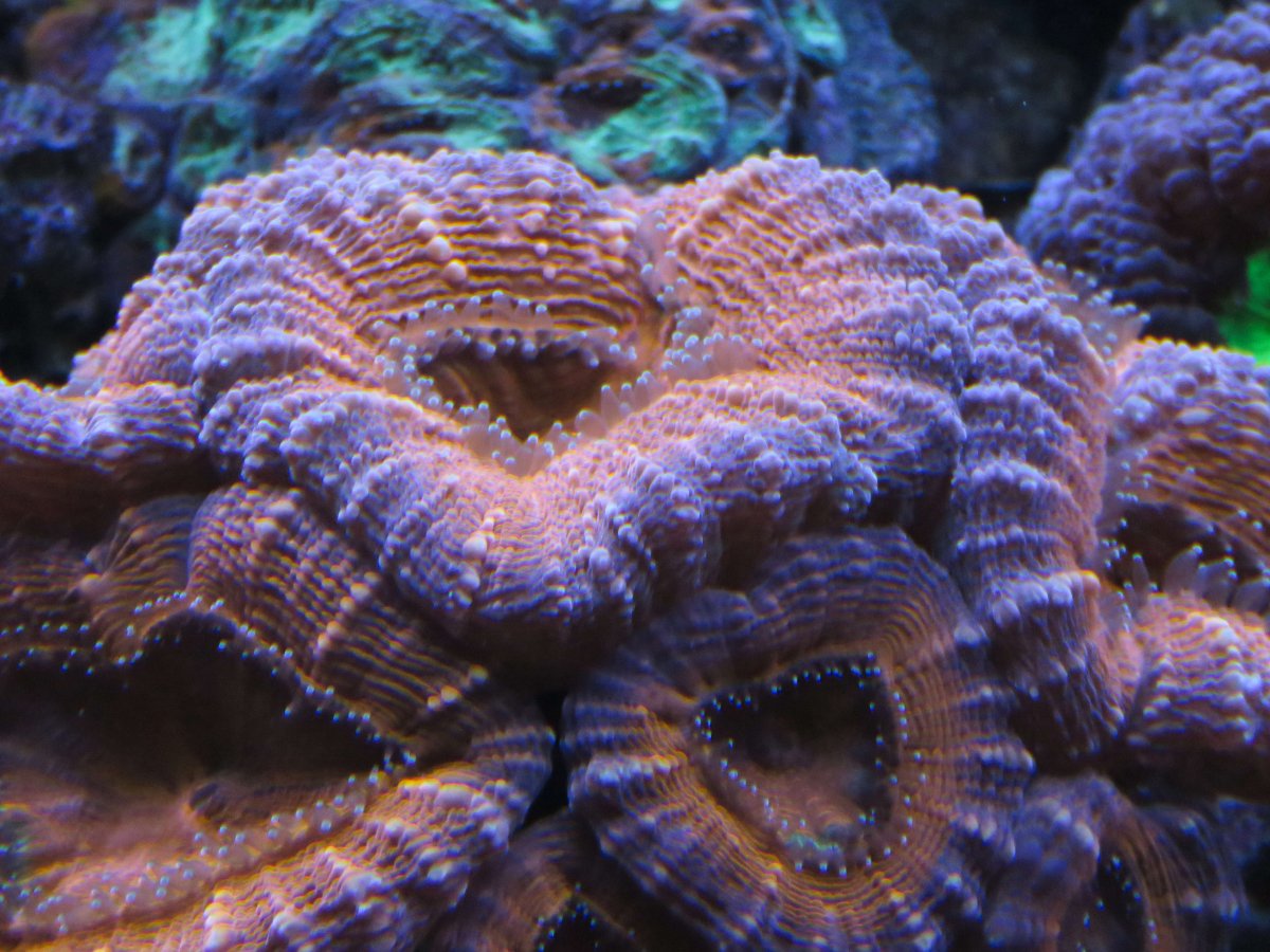 IMG_4380.jpg
