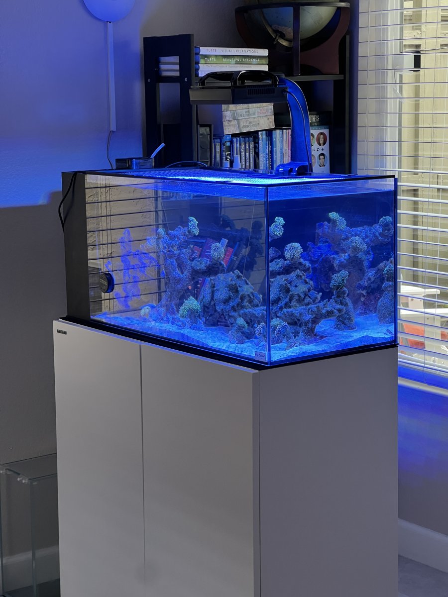 38 gallon fish tank hotsell