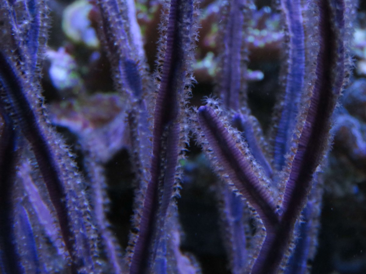 IMG_4390.jpg