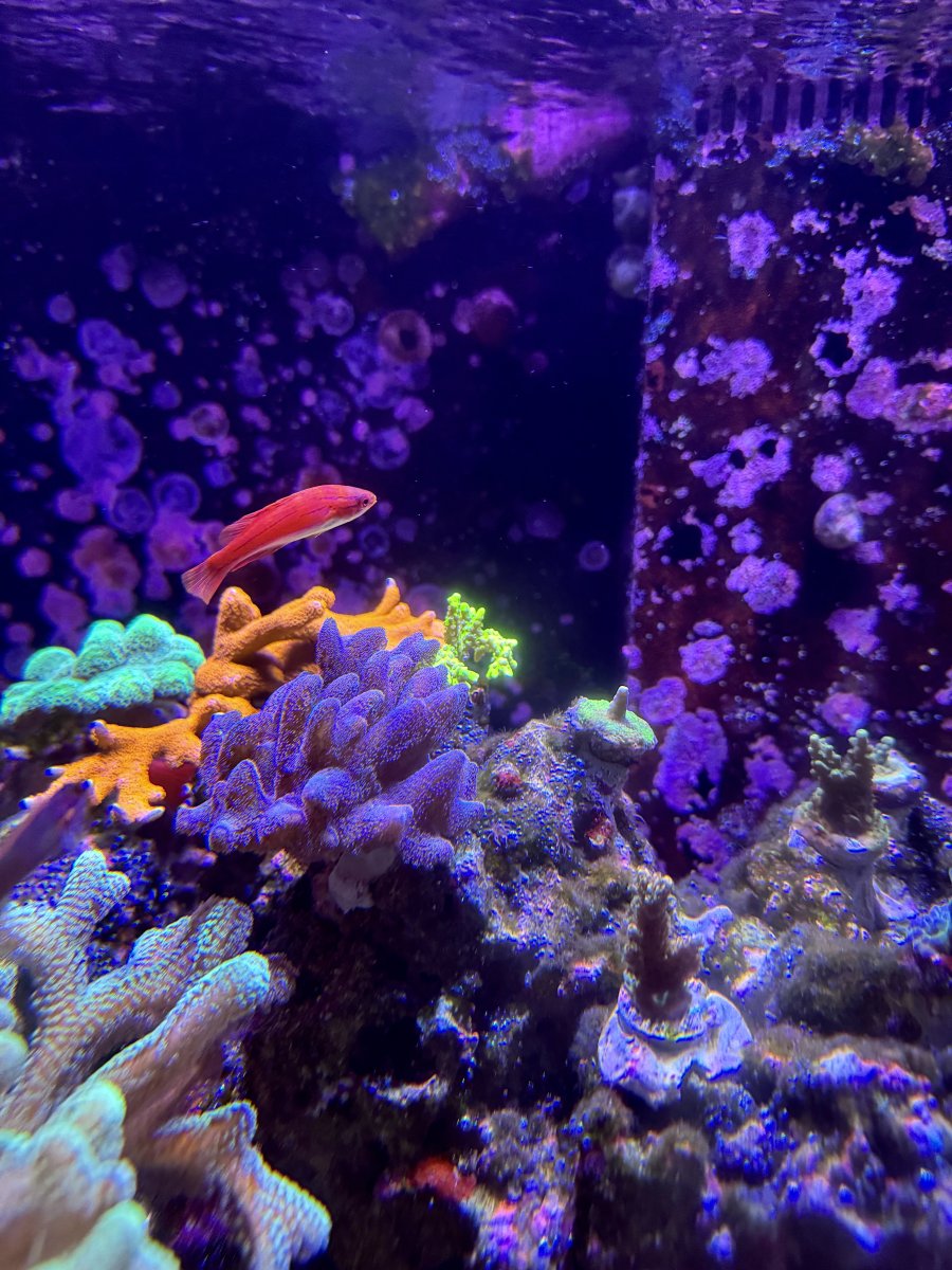 IMG_4393.jpeg