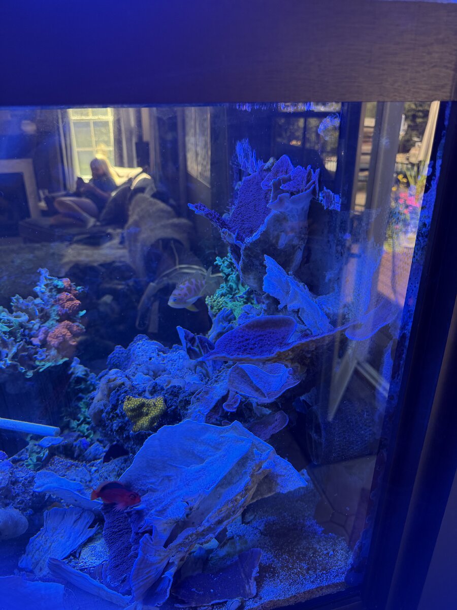 IMG_4393.jpeg