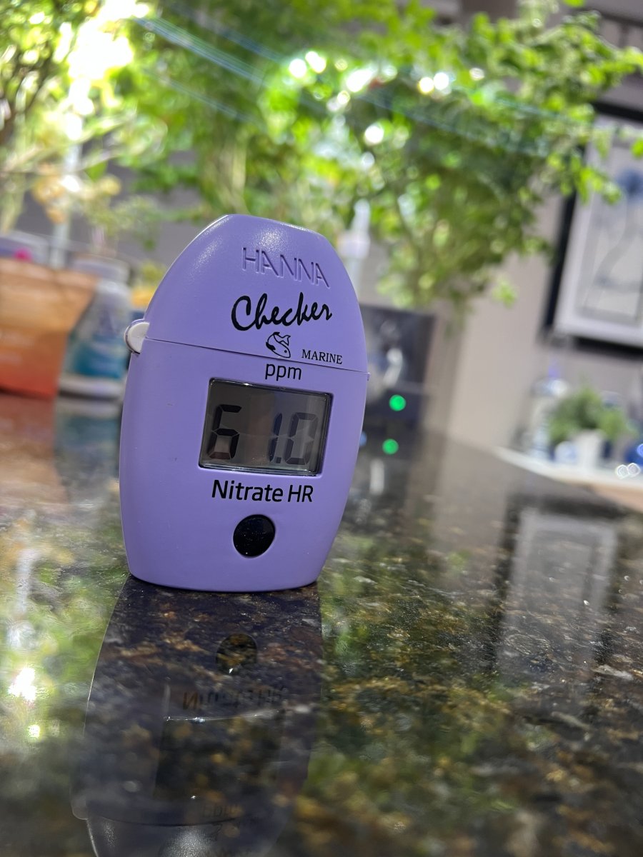 IMG_4414.jpeg
