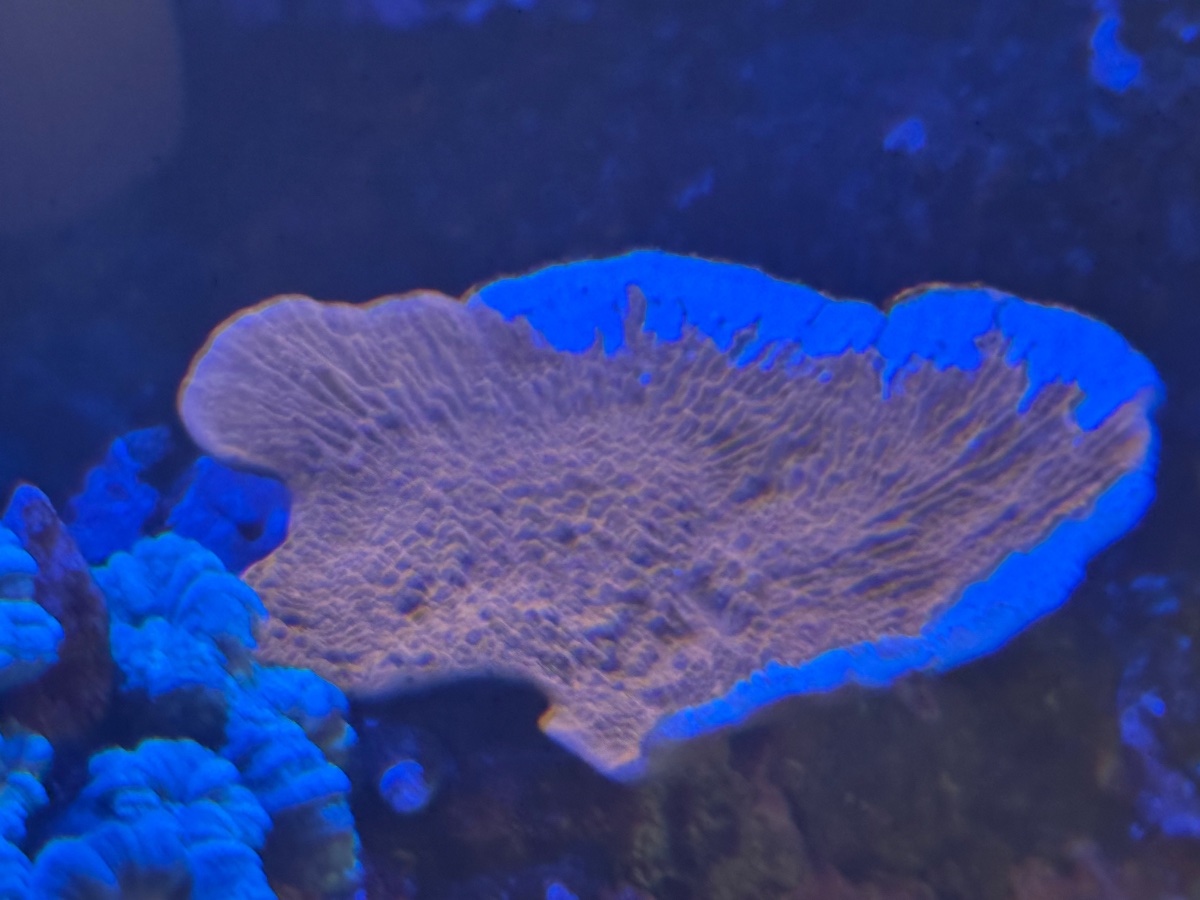 IMG_4414.jpeg