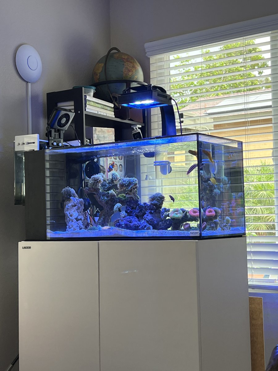 California San Diego Fiji 38 Gallon Peninsula Aquarium Stand
