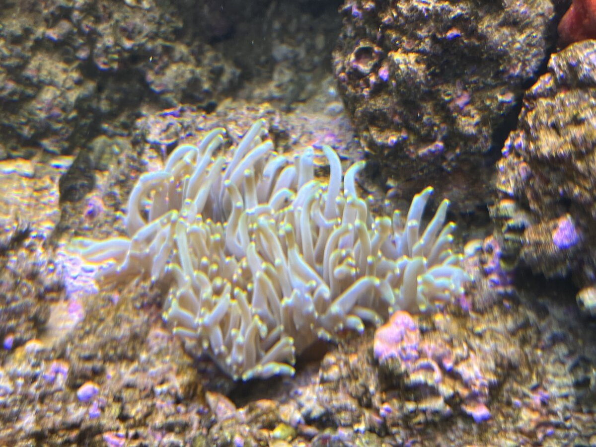 IMG_4421.jpeg